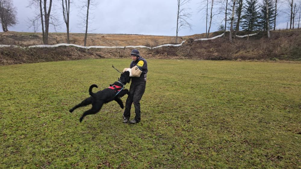 Limeta ze Slunečné verandy