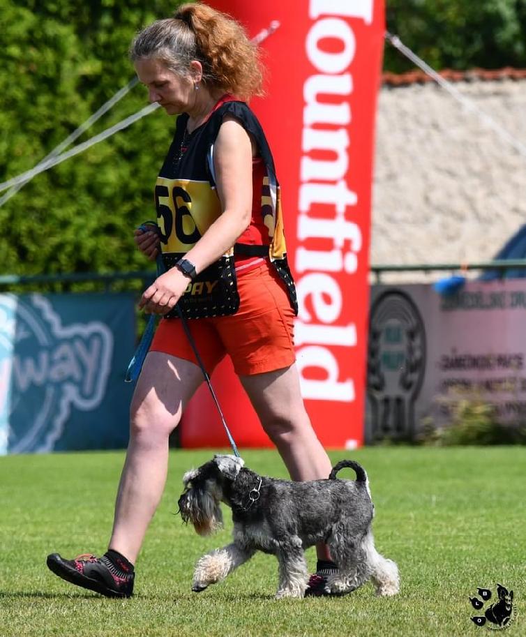 Helena Nováková a Codex Dentis