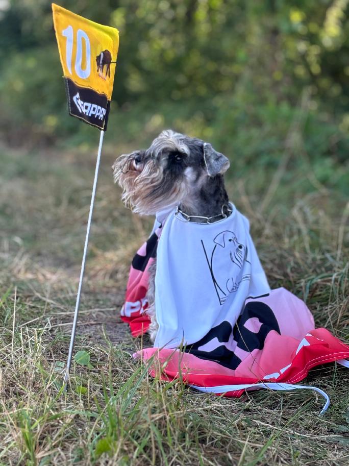 Patrisha Box-Everest