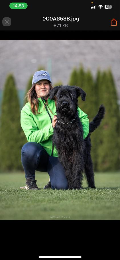 Lucie Antlová a Aron z kraje vlka